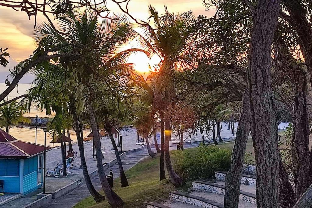 Studio Vue Mer Guadeloupe Sainte-Anne  Kültér fotó