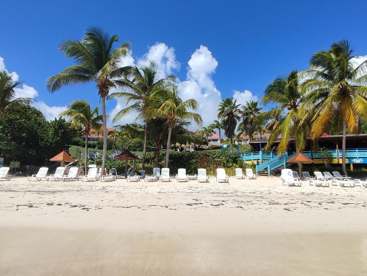 Studio Vue Mer Guadeloupe Sainte-Anne  Kültér fotó