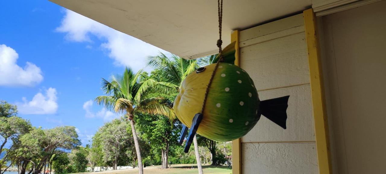 Studio Vue Mer Guadeloupe Sainte-Anne  Kültér fotó